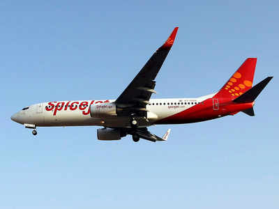 12 new domestic SpiceJet services