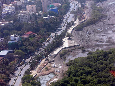 Bandra-Versova Sea Link’s Carter Road connector spells death for community space