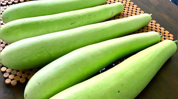 Bottle Gourd