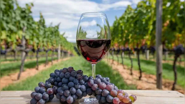Red Wine