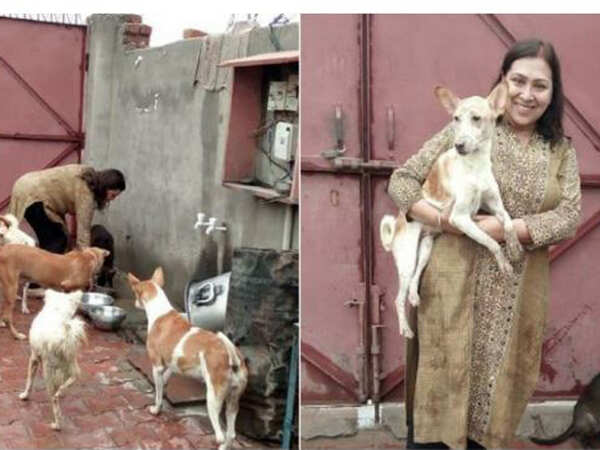 This woman lost her dog. Now she is busy saving as many as possible