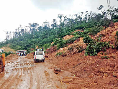 Karnataka: Landslides bring traffic to a halt on Bengaluru-Mangaluru route