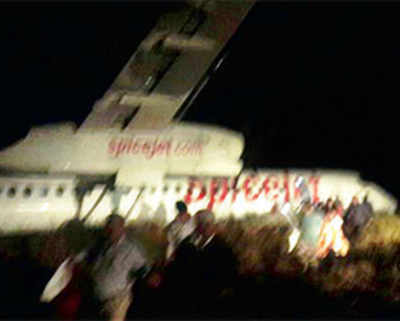 Close shave for flyers after plane runs into herd of animals on Jabalpur runway