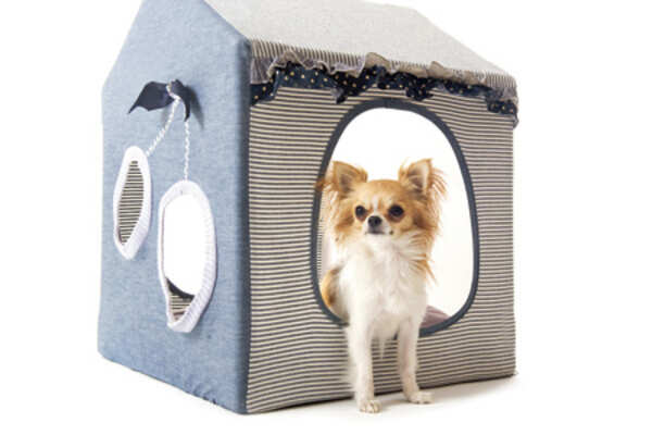 Kennels and carriers for your pooch
