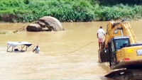 Watch: Tractor, driver get stuck in Usri River in Jharkhand 