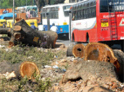 More than a Lalbagh has been wiped out of city last three yrs