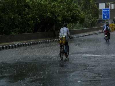 Dust and hail storm, heavy rains lash Delhi-NCR