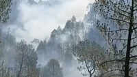 Hot summer leads to wildfire in Binsar sanctuary 