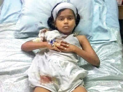 8-yr-old mauled by dogs in Virar