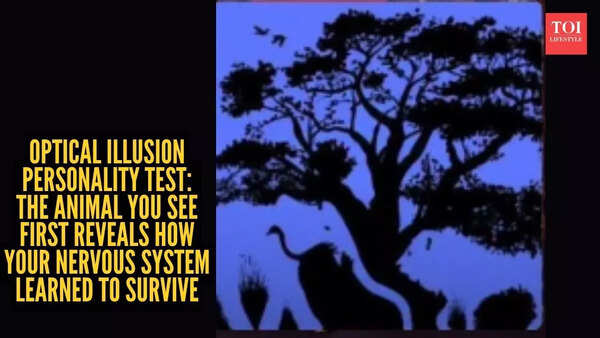 Optical illusion personality test: Elephant, lion, ostrich, flying birds, tree, face? The animal you see first reveals how your nervous system learned to survive