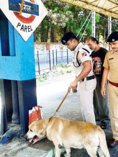 Anonymous caller sparks bomb scare at Parel railway station