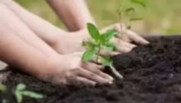 VMC eyes world record with 3.17L saplings in 1 hour