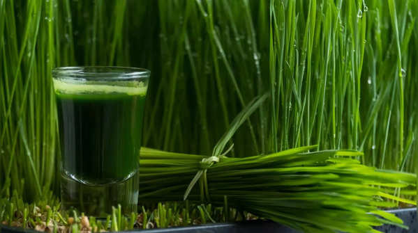 6 Incredible benefits of a daily teaspoon of wheatgrass