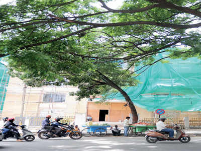 BBMP says OK, retired engineer says No