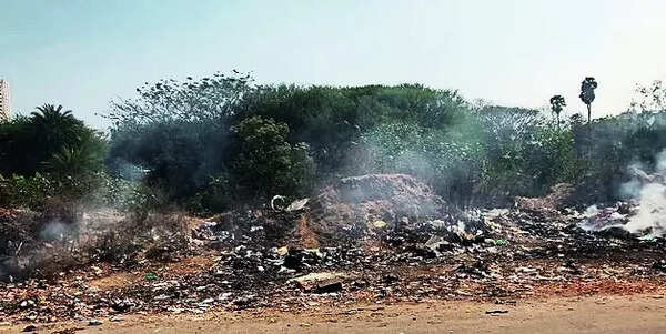 Doddakallasandra Lake faces threat from burning garbage