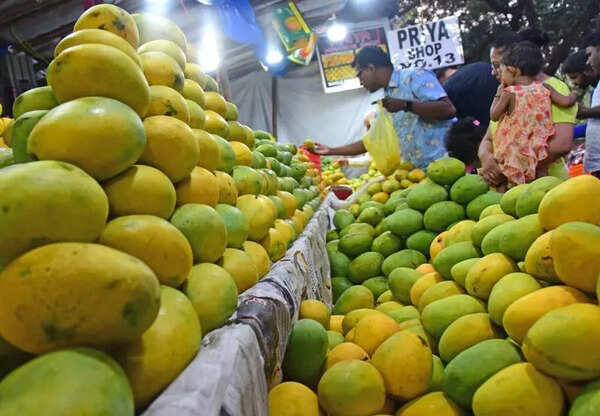 Direct sale of Dharwad Alphonso mangoes begins