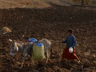 In this village in Nandurbar, here's why residents are grateful to donkeys