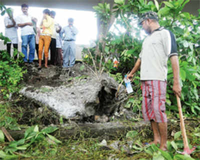 Man murdered by wife, step-sons, buried off Eastern Freeway