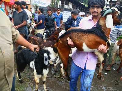 Allow Bakri Eid activities in 27 districts: Jamaat-e-Islami Hind urges CM Thackeray