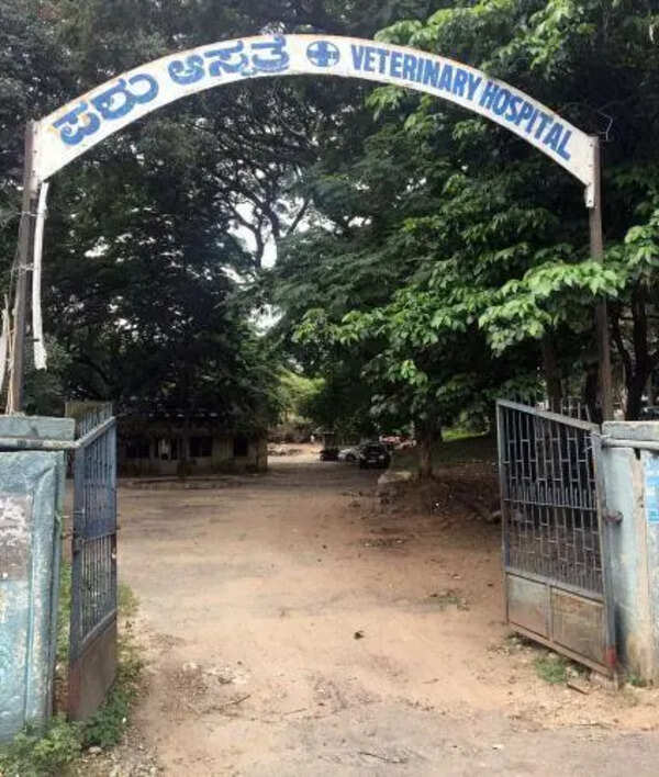 1,800 vacancies cripple veterinary services across Karnataka
