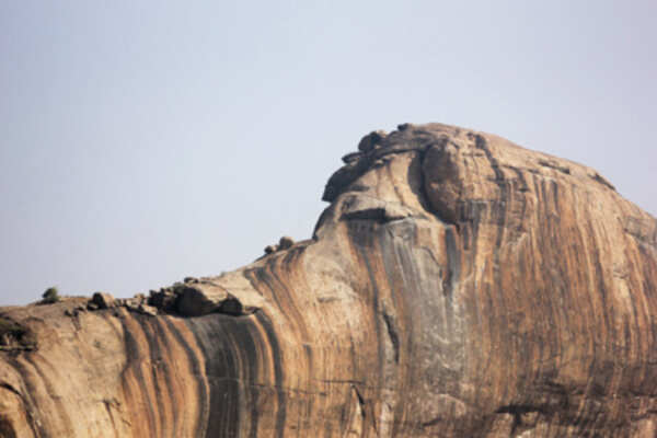 Yaanamalai's elephant head shaped rock