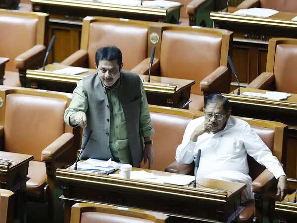 Bill proposing ballot paper for local polls passed in assembly, oppn walks out