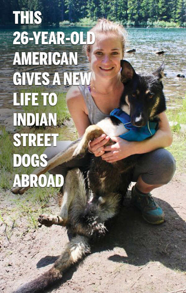 This 26-year-old gives a new life to Indian street dogs abroad
