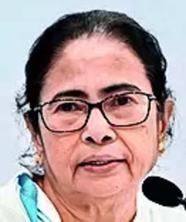 CM: Bengal will try clearing new industrial projects in 3 months