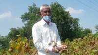 Maharashtra farmers heap praise on agriculture reform bills 