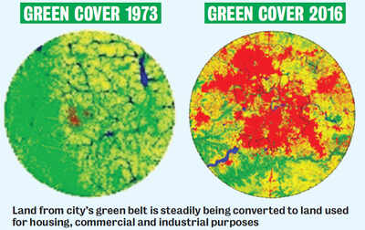 Why Bengaluru’s green is becoming grey