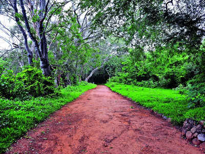 Eco-tourism plan at Roerich Estate needs Centre’s nod