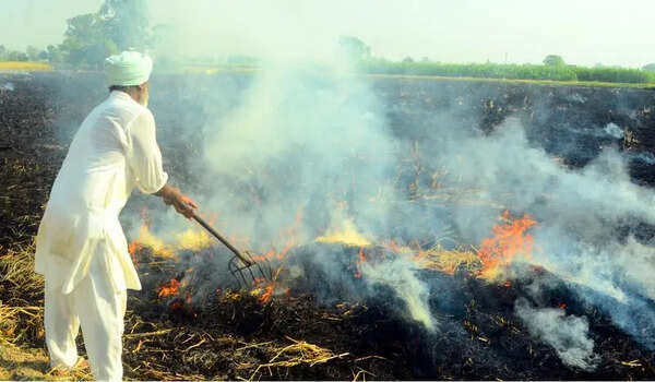Punjab gets breather after 9 days of surge in farm fire cases; Sangrur worst-affected