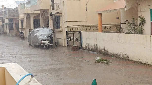 Rain and hail hit Kalol, Lunawada talukas