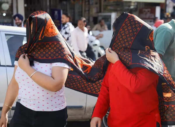 Rohtak hits 44.6°C as heatwave grips Punjab & Haryana, relief likely on Sunday