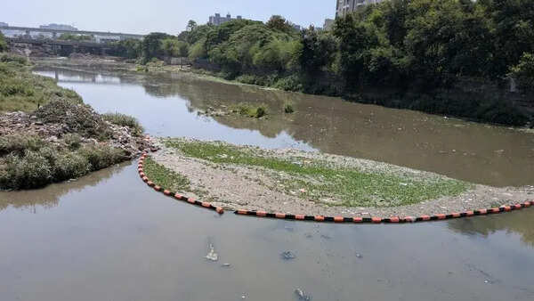 PCMC’s hyacinth traps in Mula ruining our drinking water, says gram panchayat
