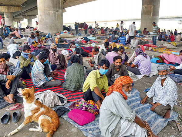 Delhi: Migrants trapped on riverbank, hungry and without hope
