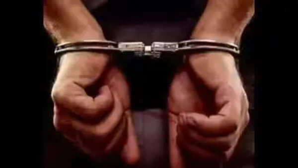 3 Punjab men ‘looking to sell’ China-made guns in Mumbai held