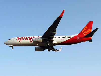 Despite grounding its 13 Boeing 737 MAX aircraft, SpiceJet clocks Rs 56 cr profit