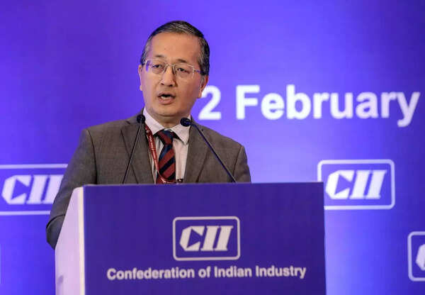 Interview | ‘PPPs in railways should start, Delhi station likely on the list’: V Vualnam