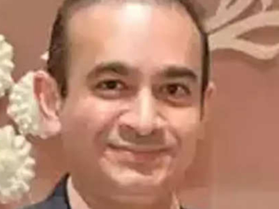 Assets worth Rs 329.66 cr of fugitive accused Nirav Modi confiscated