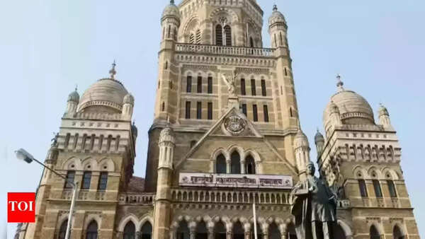 BMC demolishes illegal sheds, turfs at sports complex