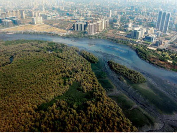 Draft development plan offers mangrove land on a platter to Mumbai’s builders