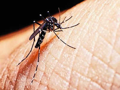 Increase in dengue cases still a concern