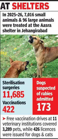 All bark, no bite? Centres double but sterilisations &lsquo;low&rsquo;
