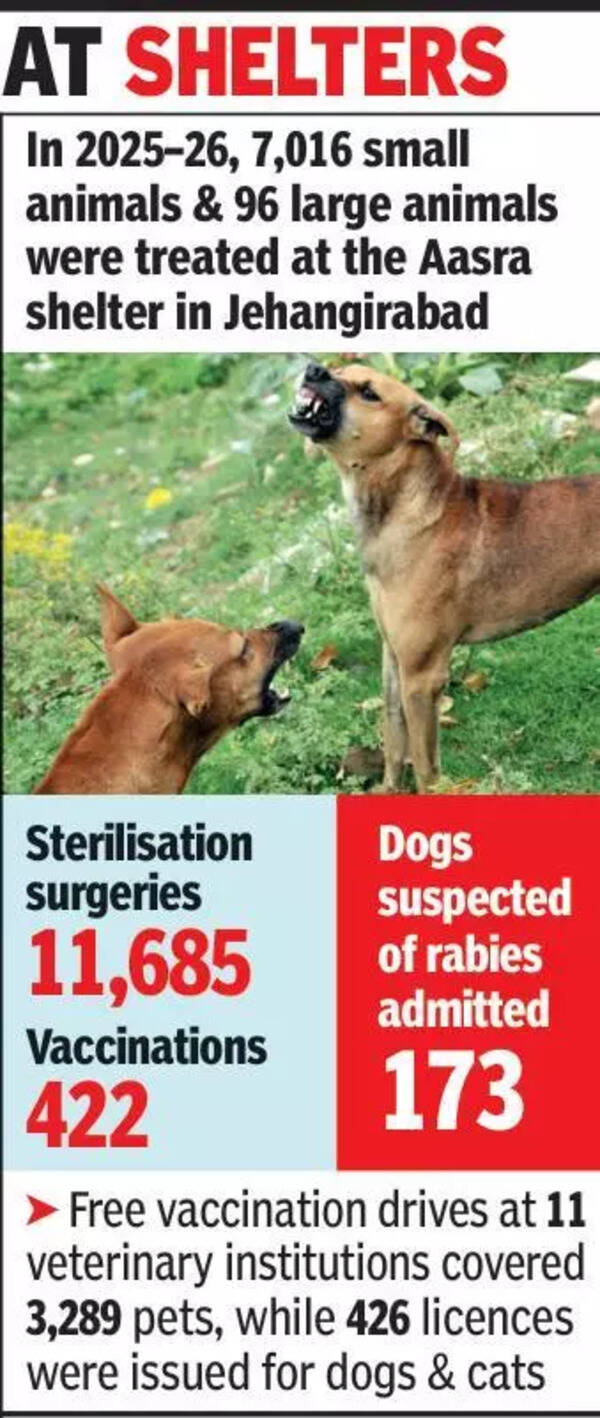 All bark, no bite? Centres double but sterilisations ‘low’