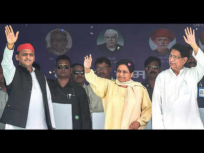 Don’t depend on alliance to win votes: Mayawati