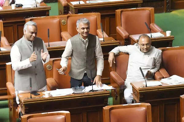 Bill prescribes 5-year jail term for honour killings, 3 years for grievous injuries