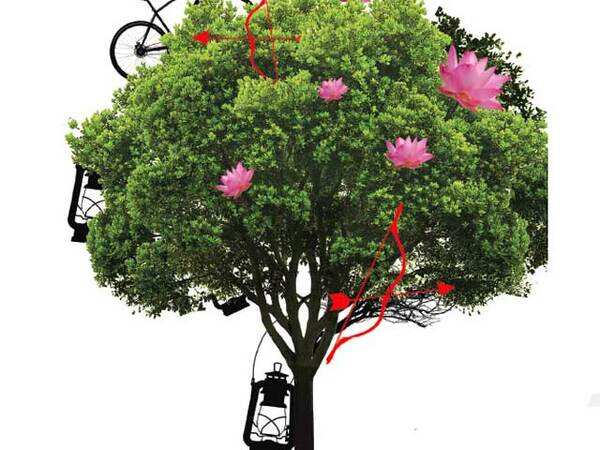 Lok Sabha polls 2019: How BJP is trying to take on reservation champions