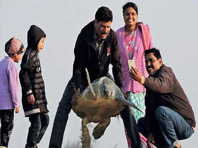 Selfie-time with the wild in Bandipur comes to an end