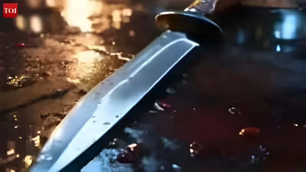 2 minors stabbed to death in Delhi's Rohini clash; 14-year-old apprehended